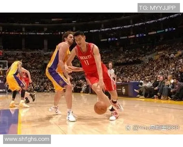 姚明与奥鲨的传奇故事:从篮球场到海洋的跨界之旅 姚明与奥鲨的传奇故事:从篮球场到海洋的跨界之旅