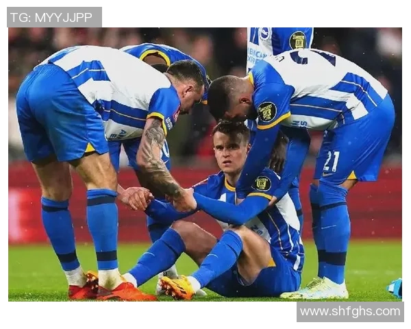 伯明翰与布莱顿对决前瞻分析球队状态及战术布置探讨 伯明翰与布莱顿对决前瞻分析球队状态及战术布置探讨